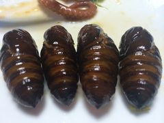 -小船渔村•大连菜•大连焖鱼(明泽街店)