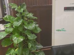 -毛家饭店·融合新湘菜·主题宴(齐鲁软件园店)