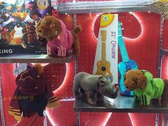 -首都电影院(天津店 中国巨幕)