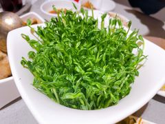 豆苗-海底捞火锅(吴中路店)