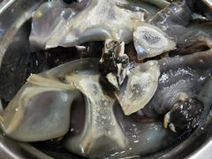 -韩国料理大力士(屏风街店)