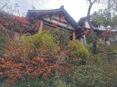 -中国茶叶博物馆(双峰馆区)