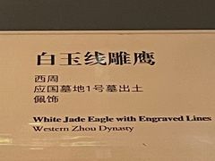 -平顶山博物馆