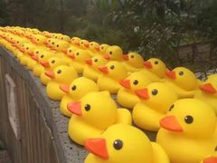 -天目湖涵田半山温泉