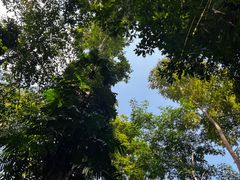 -中国科学院西双版纳热带植物园
