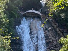 -广州白江湖森林公园