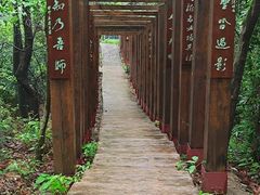 -云碧峰国家森林公园