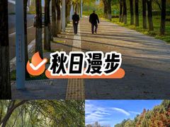 -西安浐灞国家湿地公园