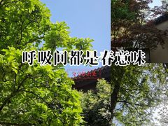 -郑和公园