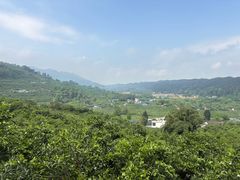 -樱桃山旅游景区