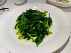 酒香豆苗-老吉士酒家(天平路店)