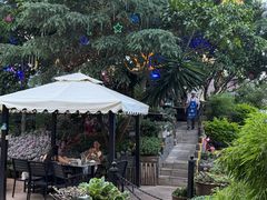 -山菌美食苑(振兴路店)