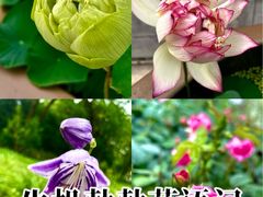 -重元寺香积厨素斋馆