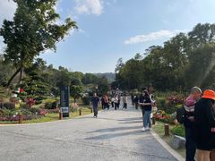-东莞植物园