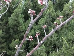 -大连凯丹广场