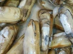 -渡海小渔村.老辈日照菜