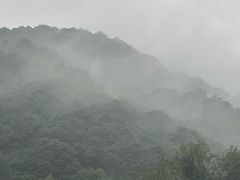 -西湖风景区十里琅珰-五云山