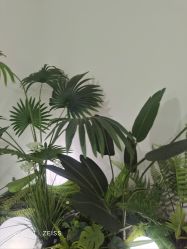 -HEYAN荷妍专业脱毛连锁机构