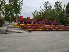 -大兴滨河森林公园