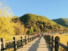 -泸沽湖国家级风景名胜区走婚桥