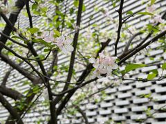 -国际非物质文化遗产博览园