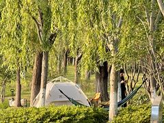 -阳澄湖半岛旅游度假区