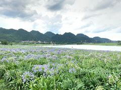 -云漫湖生态度假公园