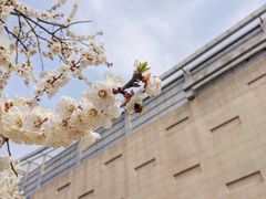 -北京联合大学(北四环校区)