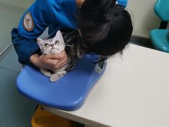 -奈斯宠物医院·核磁CT·异宠专科·内镜(中南店)