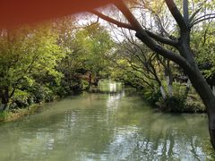 -青枫公园