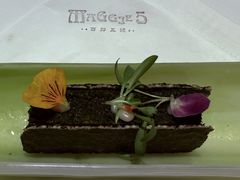 -西郊5号·Maggie 5
