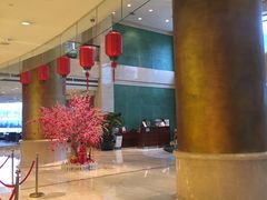 -上海浦东华美达大酒店