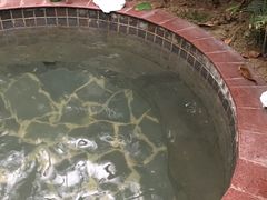 景点-龙达温泉生态城