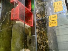 -辉记虾塘海鲜农庄