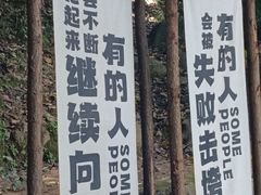 -洪崖丹井