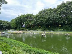 -广州长隆飞鸟乐园