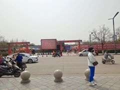 -大槐树寻根祭祖园