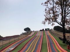 -松山湖梦幻百花洲