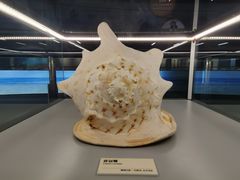 -天津古林古海岸遗迹博物馆