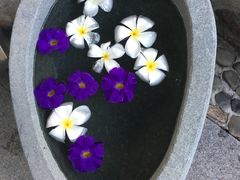 -100蛋泥浆浴