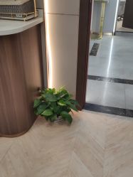 -杭州米兰柏羽医疗美容医院