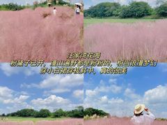 -王婆婆老妈蹄花川菜馆·非物质文化遗产(太古里一店)