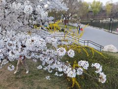 -陶然亭公园