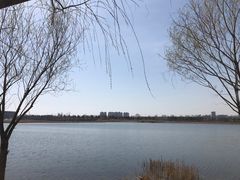 -绿堤公园