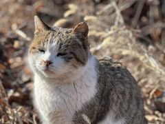 -八达岭长城