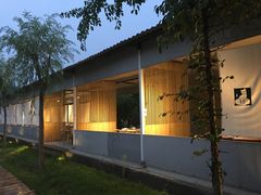 -午后庭院