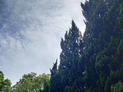 -上海市龙华烈士陵园