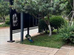 -云南艺术学院(呈贡校区)