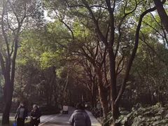 -东湖落雁景区