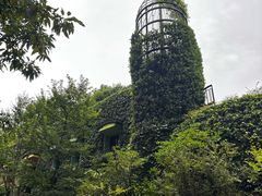 -三鹰之森吉卜力美术馆